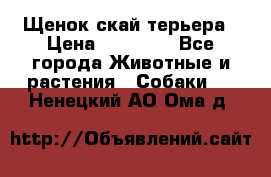 Щенок скай терьера › Цена ­ 20 000 - Все города Животные и растения » Собаки   . Ненецкий АО,Ома д.
